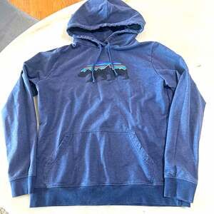 Patagonia Hoodie Men’s L Blue Fleece Pullover Bear Graphic Pockets